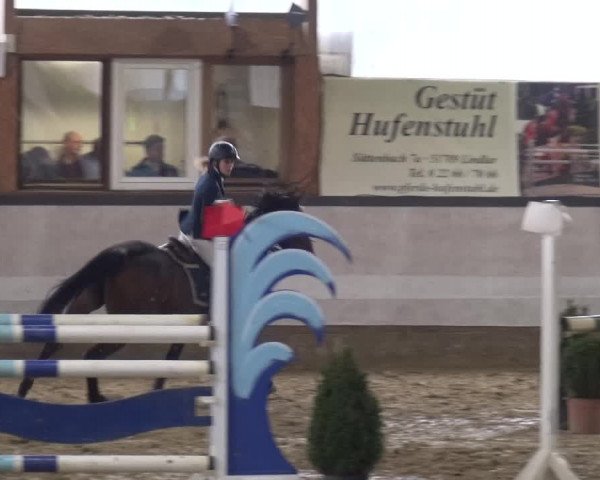 Reitturnier Lindlar-Süttenbach 2019
