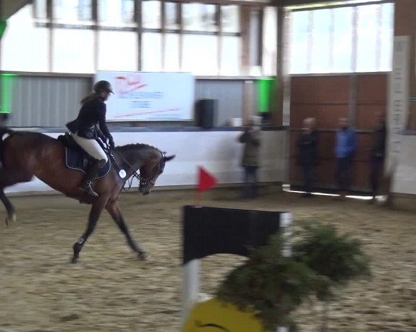 Reitturnier Lindlar-Süttenbach 2019