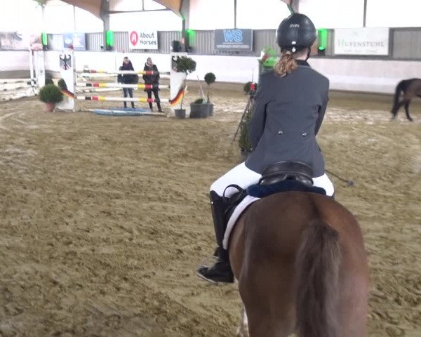 Reitturnier Lindlar-Süttenbach 2019