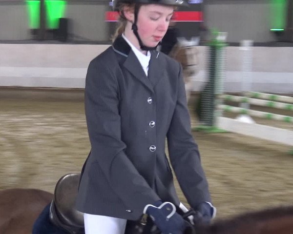 Reitturnier Lindlar-Süttenbach 2019