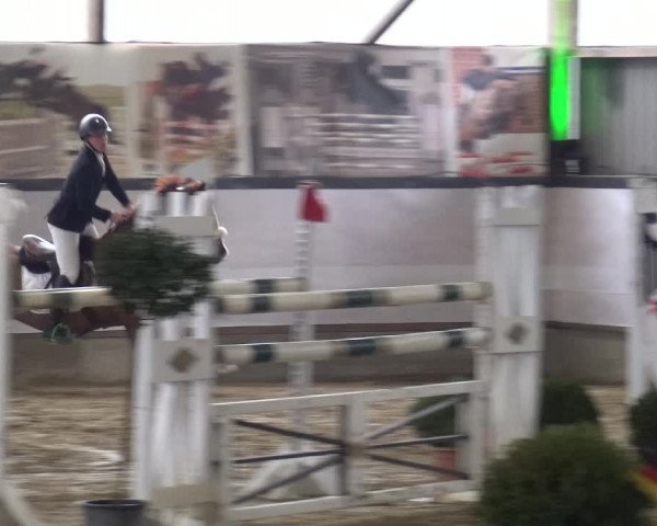 Reitturnier Lindlar-Süttenbach 2019