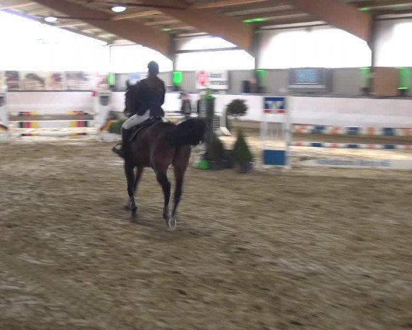 Reitturnier Lindlar-Süttenbach 2019