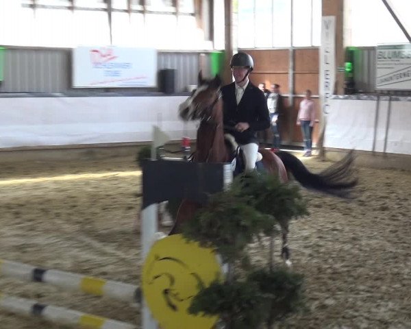 Reitturnier Lindlar-Süttenbach 2019