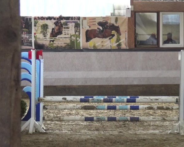 Reitturnier Lindlar-Süttenbach 2019