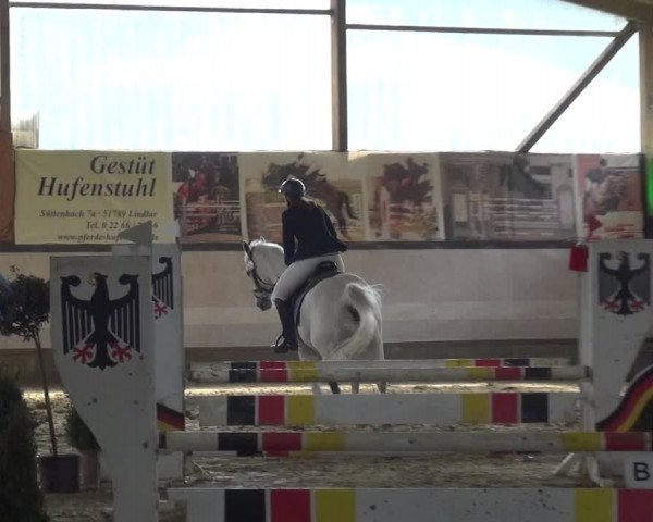 Reitturnier Lindlar-Süttenbach 2019