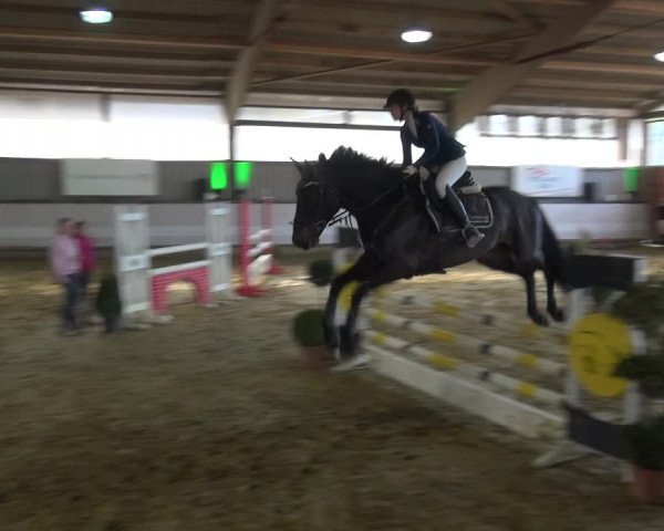 Reitturnier Lindlar-Süttenbach 2019
