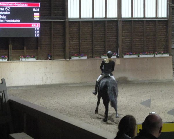 Reitturnier Mannheim-Neckarau 2019