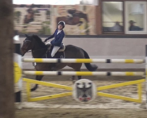 Reitturnier Lindlar-Süttenbach 2019