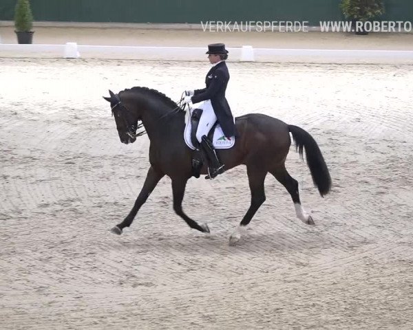 Reitturnier Dielsdorf, Horsepark 2019