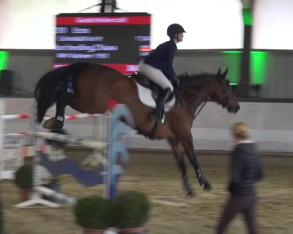 Reitturnier Lindlar-Süttenbach 2019
