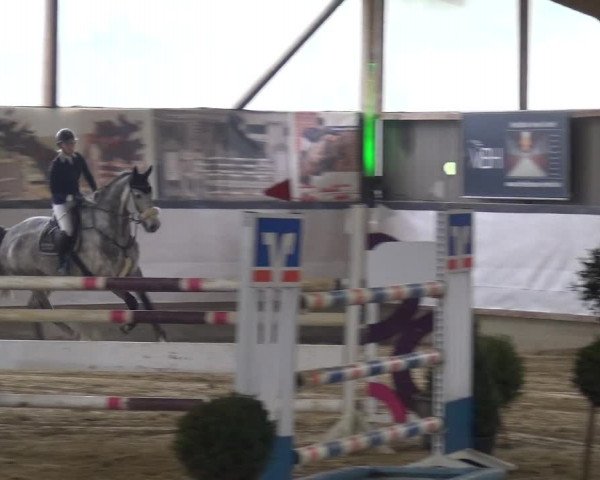 Reitturnier Lindlar-Süttenbach 2019