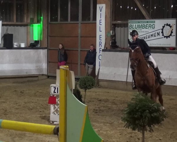 Reitturnier Lindlar-Süttenbach 2019