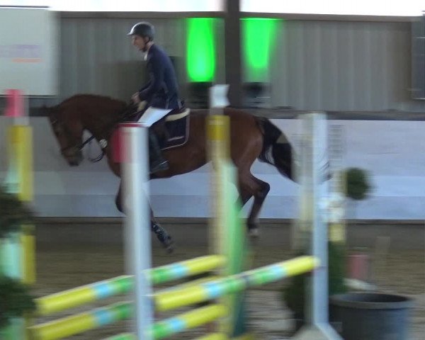 Reitturnier Lindlar-Süttenbach 2019