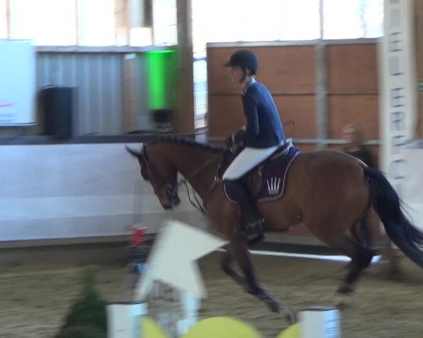 Reitturnier Lindlar-Süttenbach 2019