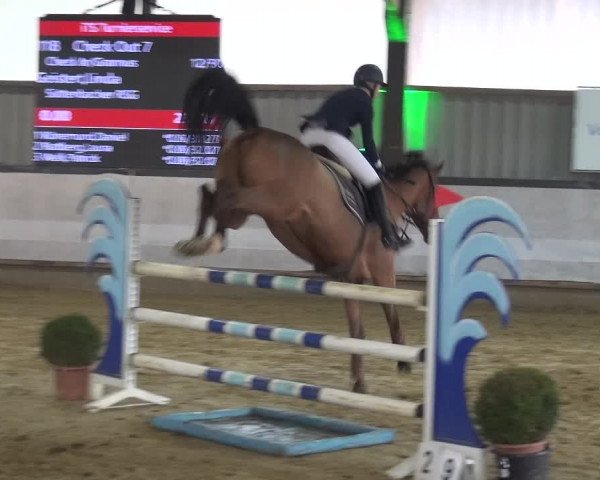 Reitturnier Lindlar-Süttenbach 2019