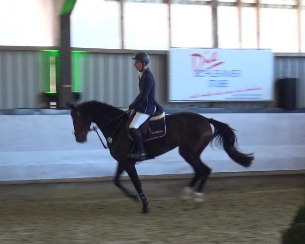 Reitturnier Lindlar-Süttenbach 2019