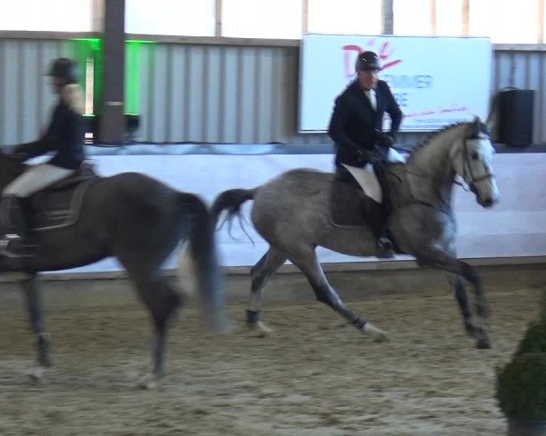 Reitturnier Lindlar-Süttenbach 2019