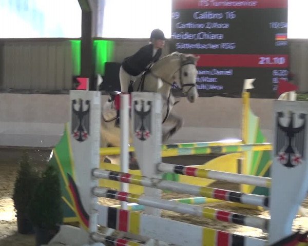 Reitturnier Lindlar-Süttenbach 2019