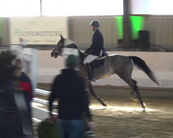 Reitturnier Lindlar-Süttenbach 2019