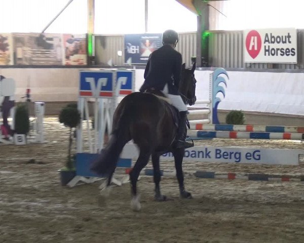Reitturnier Lindlar-Süttenbach 2019