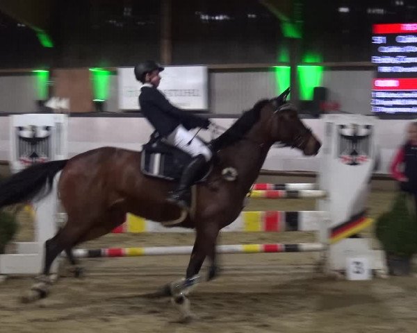 Reitturnier Lindlar-Süttenbach 2019