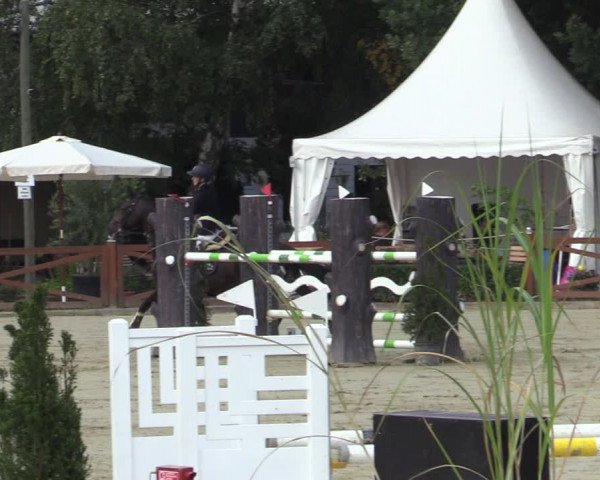 Equus Colonius - Reitanlage Brüse Köln 2021