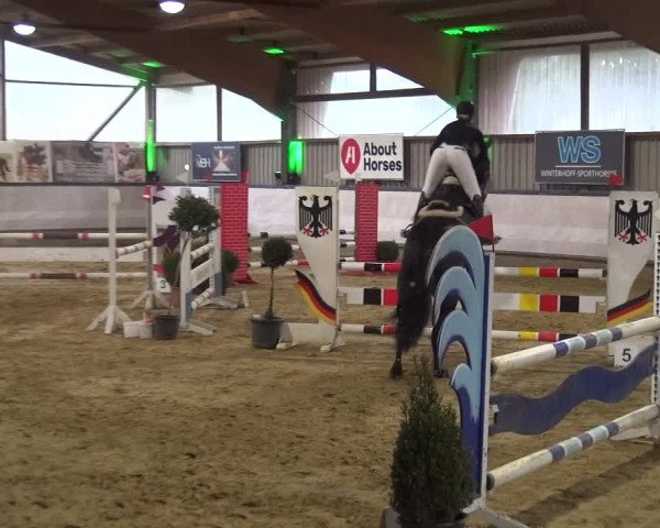 Reitturnier Lindlar-Süttenbach 2019