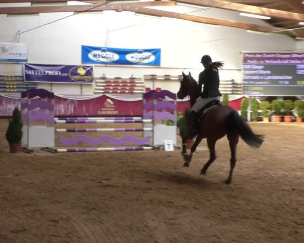 Reitturnier Eicherloh RH Laurent/Obb. 2019