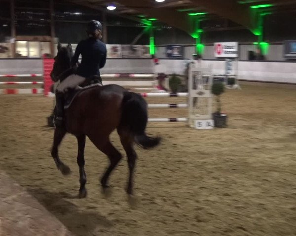 Reitturnier Lindlar-Süttenbach 2019