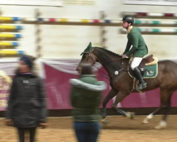 Reitturnier Eicherloh RH Laurent/Obb. 2019