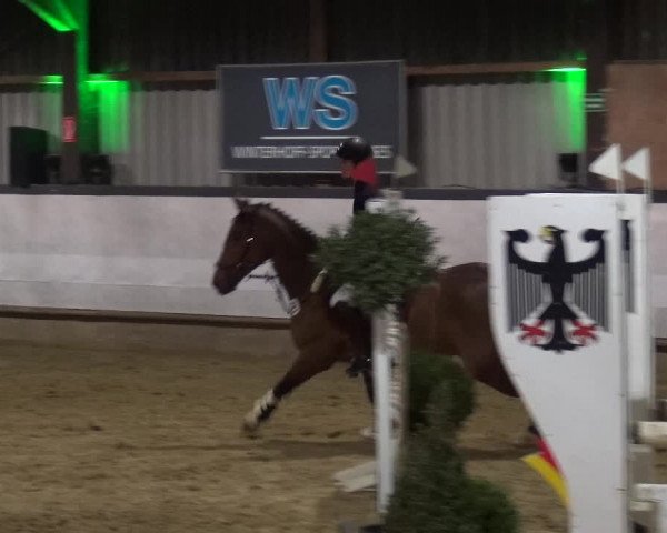 Reitturnier Lindlar-Süttenbach 2019