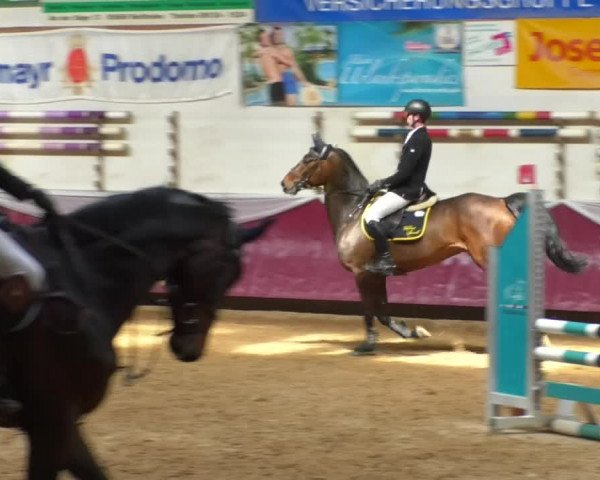 Reitturnier Eicherloh RH Laurent/Obb. 2019