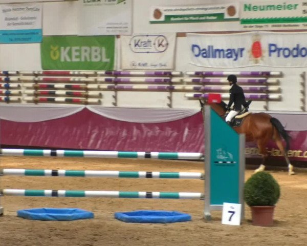 Reitturnier Eicherloh RH Laurent/Obb. 2019