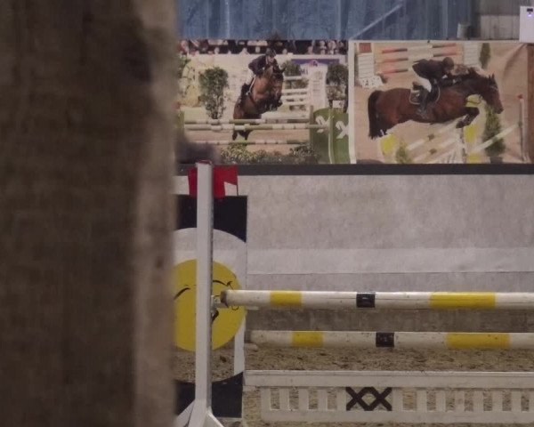 Reitturnier Lindlar-Süttenbach 2019