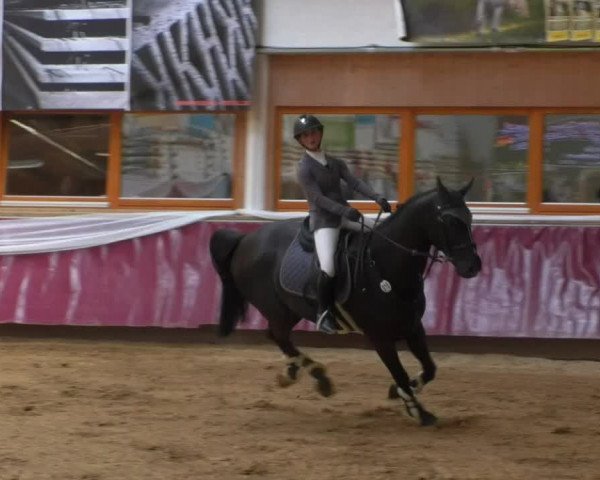 Reitturnier Eicherloh RH Laurent/Obb. 2019