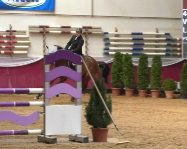 Reitturnier Eicherloh RH Laurent/Obb. 2019