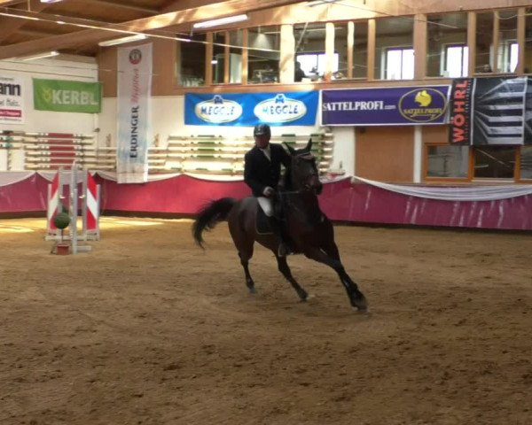 Reitturnier Eicherloh RH Laurent/Obb. 2019