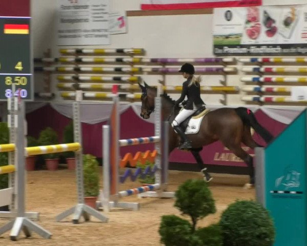 Reitturnier Eicherloh RH Laurent/Obb. 2019