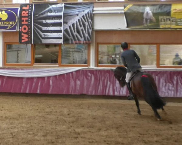 Reitturnier Eicherloh RH Laurent/Obb. 2019