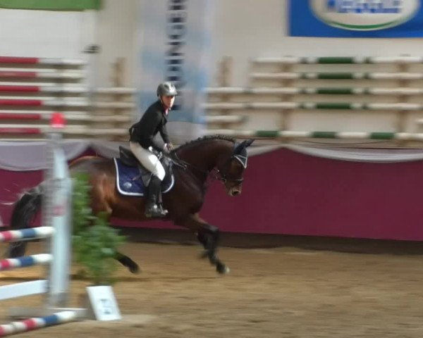 Reitturnier Eicherloh RH Laurent/Obb. 2019