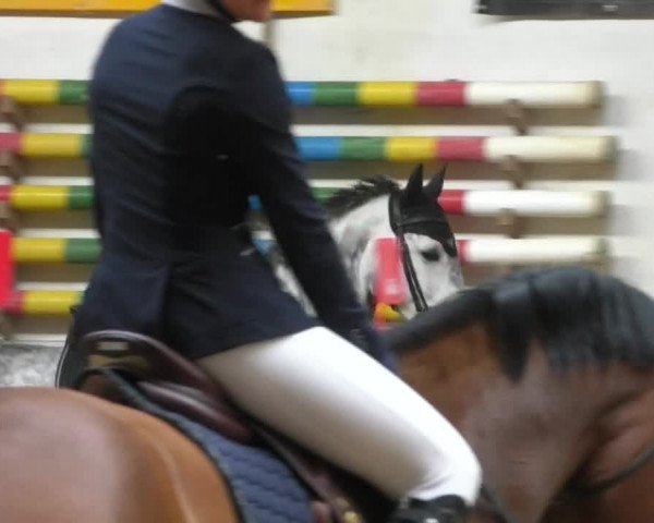 Reitturnier Eicherloh RH Laurent/Obb. 2019