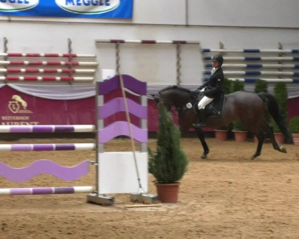 Reitturnier Eicherloh RH Laurent/Obb. 2019