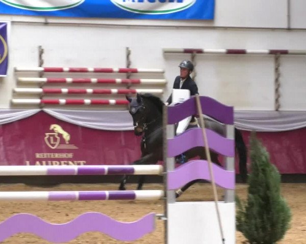 Reitturnier Eicherloh RH Laurent/Obb. 2019