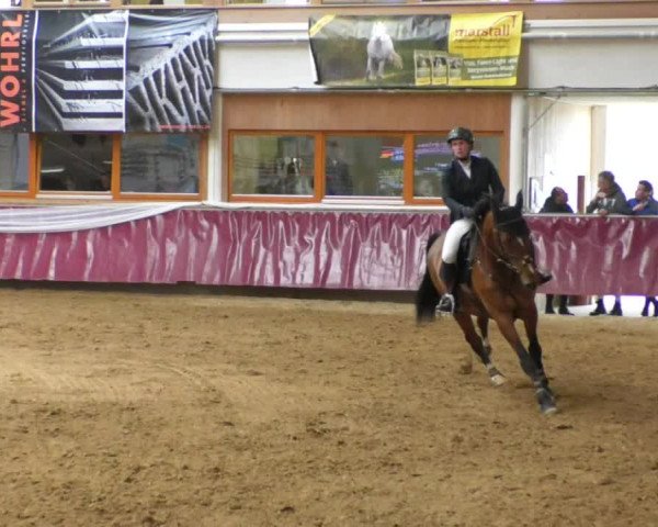 Reitturnier Eicherloh RH Laurent/Obb. 2019