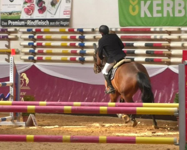 Reitturnier Eicherloh RH Laurent/Obb. 2019