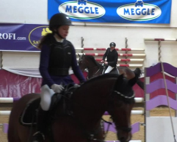 Reitturnier Eicherloh RH Laurent/Obb. 2019