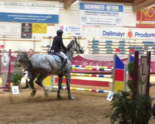 Reitturnier Eicherloh RH Laurent/Obb. 2019