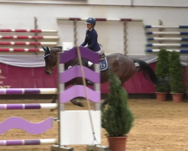 Reitturnier Eicherloh RH Laurent/Obb. 2019