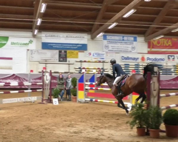 Reitturnier Eicherloh RH Laurent/Obb. 2019