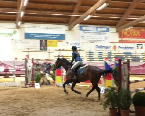 Reitturnier Eicherloh RH Laurent/Obb. 2019